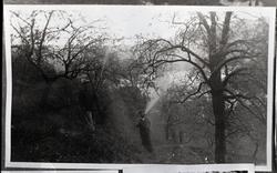 mann fruktr sprøyting