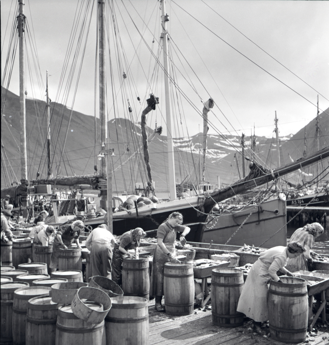 Fiskrensning vid isländsk hamn, 1948.