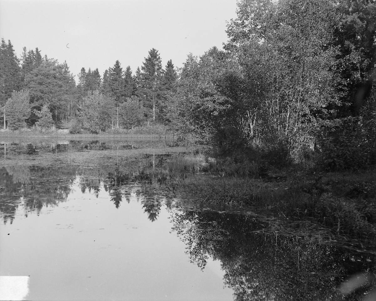 Brønn og dam ved Reitgjerdet og på Charlottenlund - Sverresborg ...