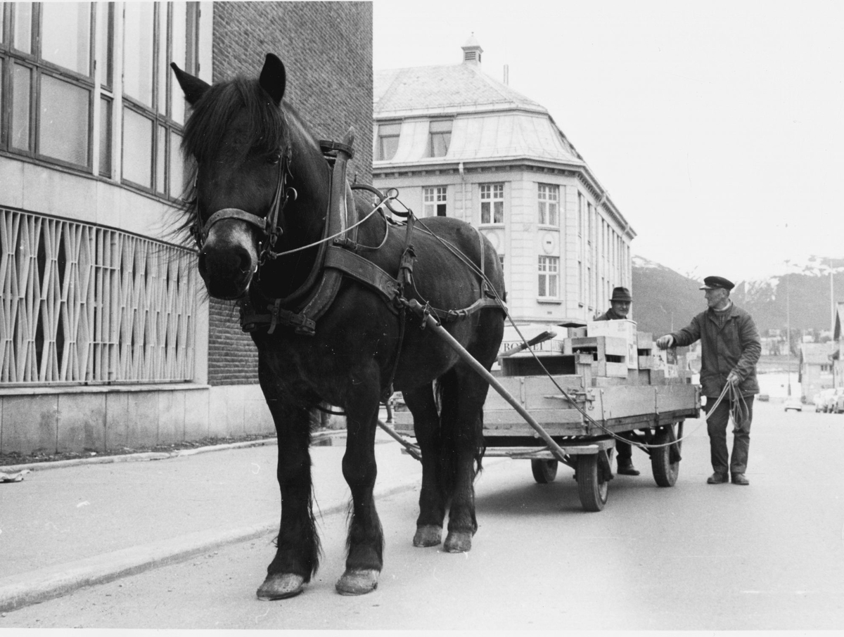Hest og vogn i Kirkegata i Tromsø.