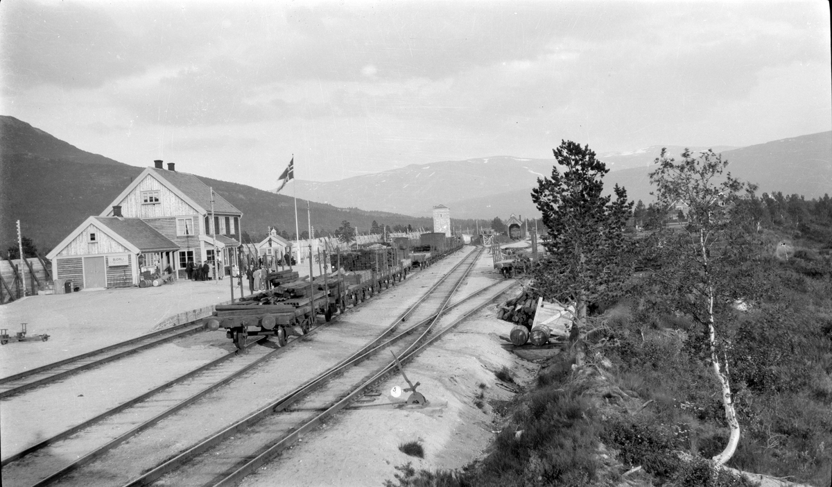 Bjorli stasjon før jernbanen ble åpnet 21.11.1921 (se STB-029)
Pakkhus, stasjonsbygning med st.mesterbolit i 2.etg, toalett, vanntårn, lokkstall og vokterboliger