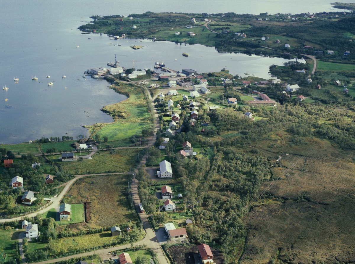 Flyfoto fra Alsvåg.