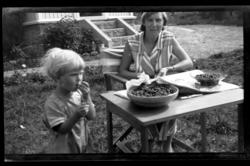 Hilda Sundt og sønnen Lars Peter renser bær, antagelig solbæ