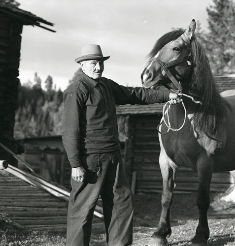 Äldre man med häst, Vasaberg september 1956.