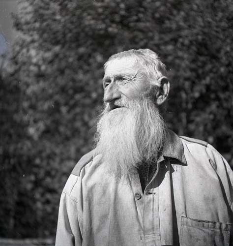 Äldre man med stort och vitt skägg, Trönö, 20 september 1951.