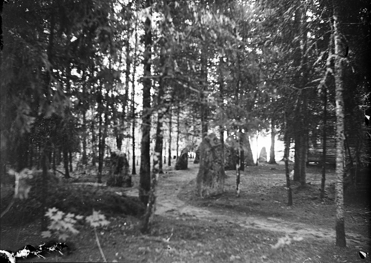 "Bautastenar Göksbo", Altuna socken, Uppland 1918