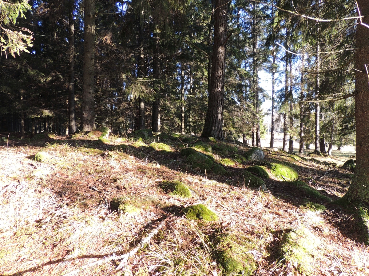 Arkeologisk utredning, stensättning i gravfältet Vallentuna 330:1, Molnby, Vallentuna socken, Uppland 2017
