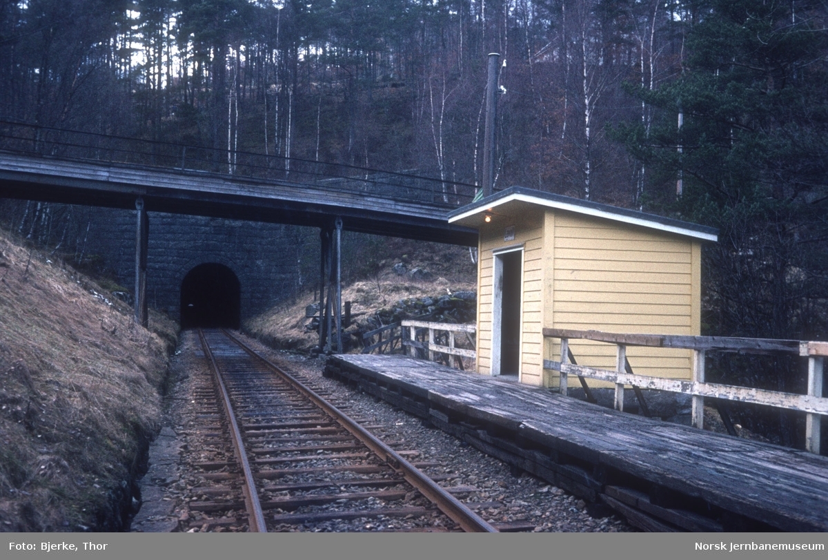 Lavoll holdeplass på Flekkefjordbanen sett mot Lavold (Flikkeid) tunnel