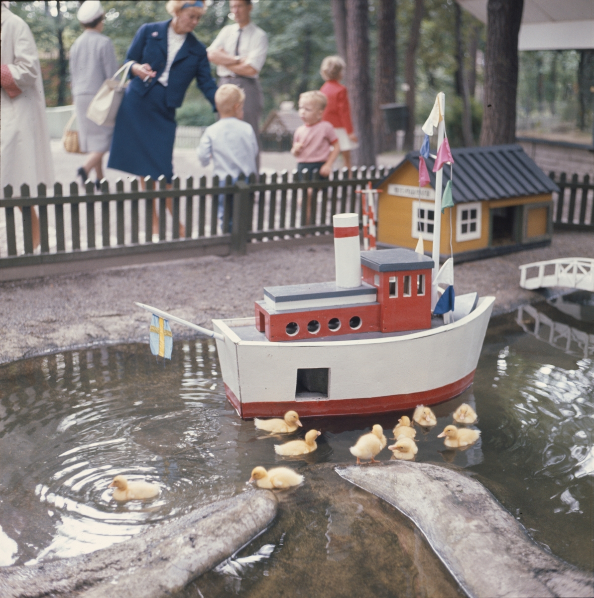 Ankungar och leksaksbåt i Lill-Skansens bassäng. I bakgrunden besökare, barn och vuxna.