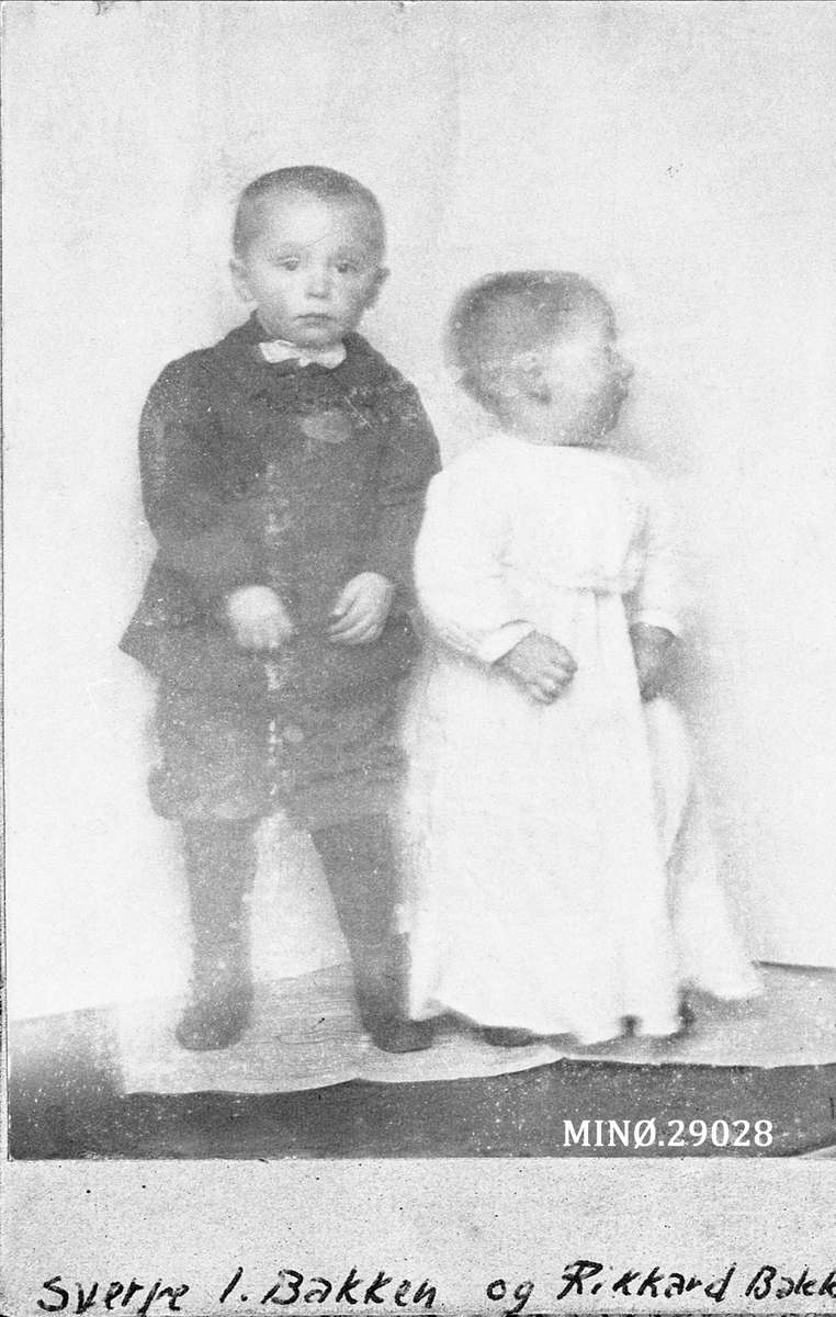 Portrett av to små gutter, Sverre Bakken f. 1908, og Rikkard Bakken f. 1909