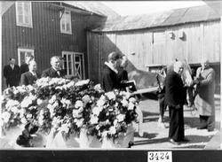 Begravelse etter Anna Elisabeth Berre