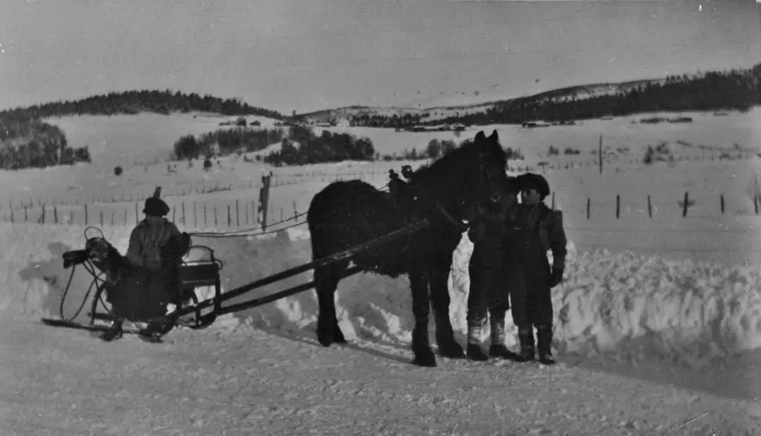 Tre Gutter Med Hest Og Spisslåe Anno Musea I Nord Østerdalen Digitaltmuseum 