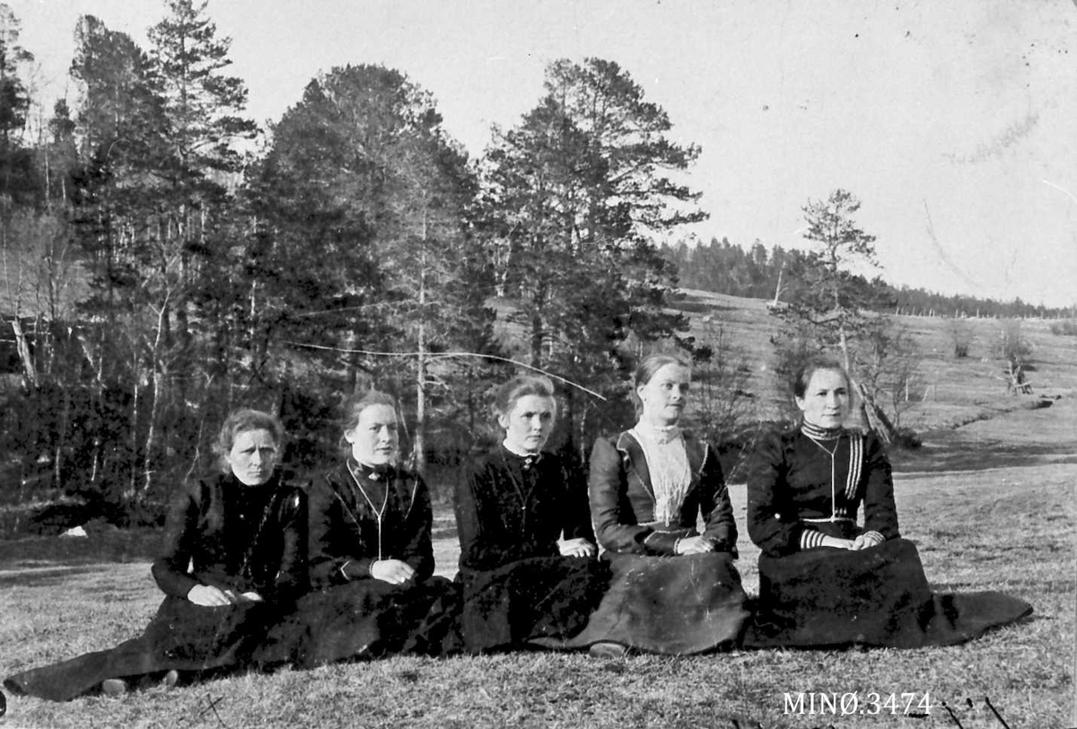 Fire unge kvinner, ei eldre, sittende på eng foran skog, kjoler