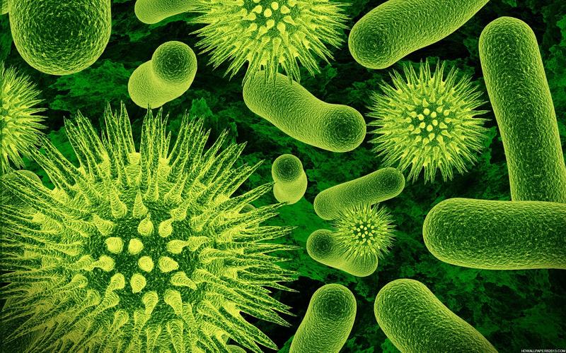 Virus og bakterier (Foto/Photo)