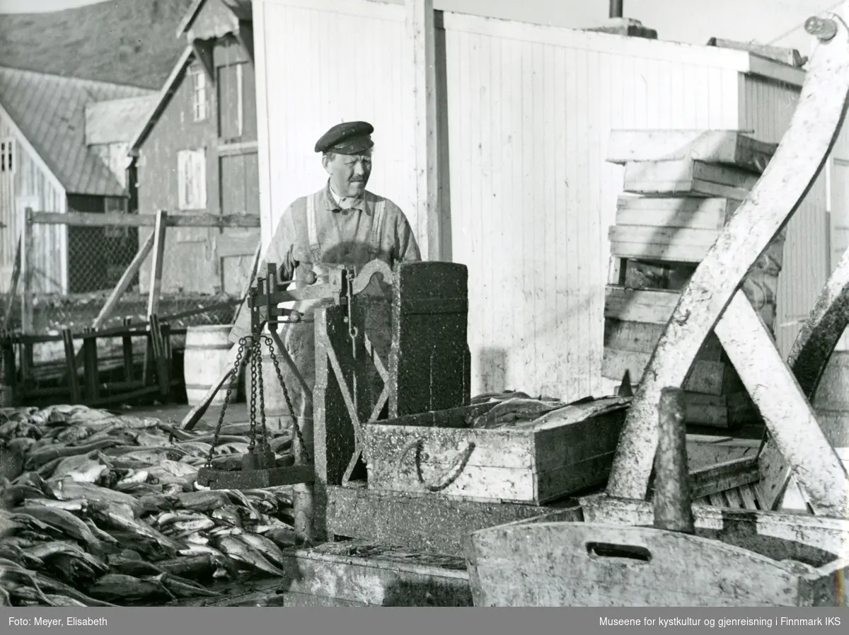 Honningsvåg. Georg Nilsen veier fisk på vekta på kaia. Til høyre en skyllekar og flere trekasser. 1940.
