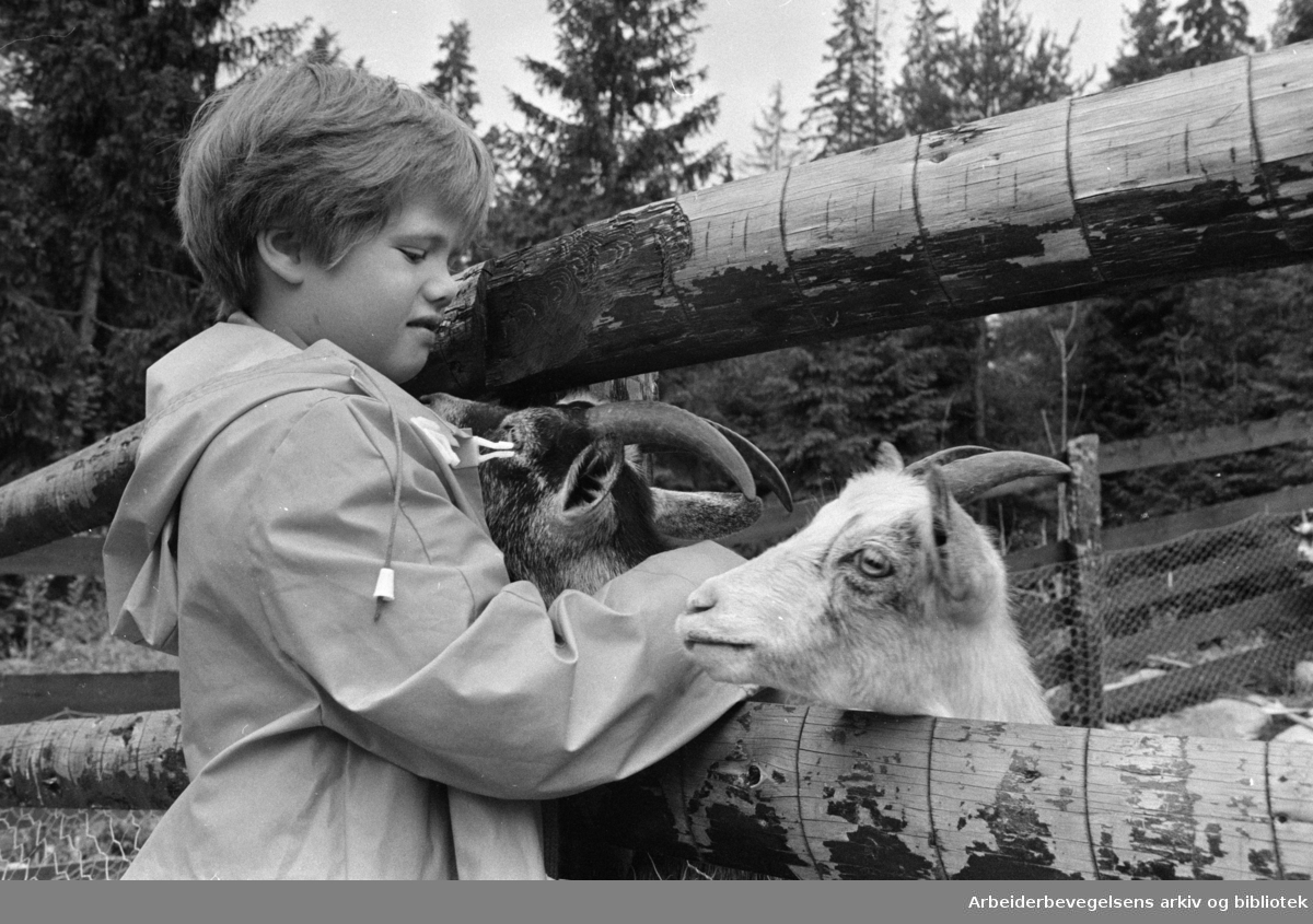 Mosseveien: Fornebo Dyrepark. Juli 1970