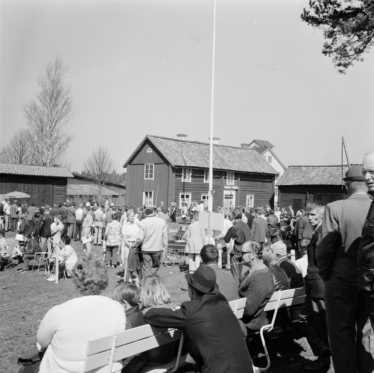 Älghundutställning i Tierp, Uppland, maj 1971
