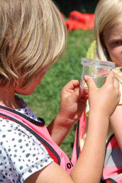 Foto av to barn som ser på vanninsekter i en lupeboks