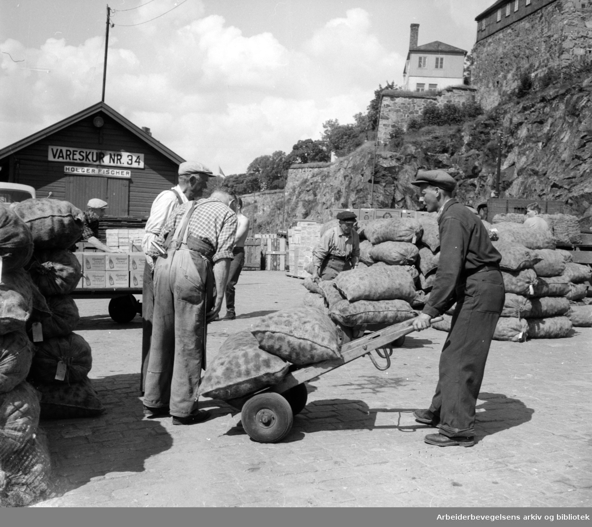 Havna. Bryggearbeidere, lasting og lossing. Lossing av bananer. Juli 1957.