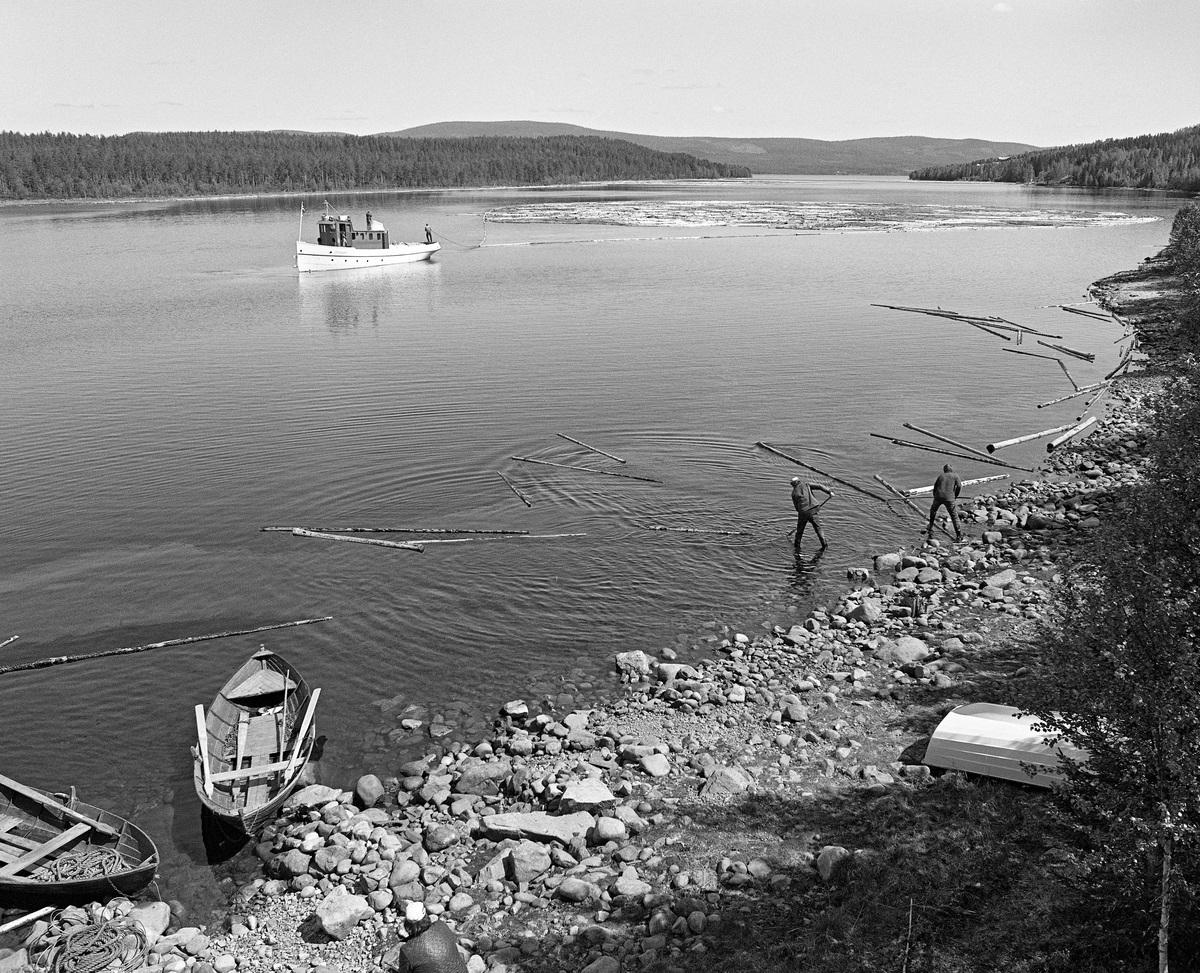 Slepebåten Trysilknut inne i Valmen med en tømmerbom. Her bukseres fløtingsvirket mot dammen som regulerer sjøen, og avløpet, elva Søndre Osa, med sikte på fløting videre nedover i vassdraget. Trysilknut ble sjøsatt i Osen i 1914 og dette fartøyet var med i fløtinga på denne innsjøen inntil den ble avviklet etter 1984-sesongen. I forgrunnen ser vi et par av robåtene som ble brukt av karene som drev med såkalt landrensk - de dro tømmer som hadde blitt liggende i den steinete strandsona etter hvert som sjøen ble tappet. I 1981 ble det levert 10 260 kubikkmeter med tømmer - slipvirke til treforedlingsbedriften Borregaard i Sarpsborg - ved Osensjøen. Dette tømmeret skulle fløtes ned den cirka 17 kilometer lange Søndre Osa, over i den nedre delen av Renaelva, som skulle føre det ut i hovedvassdraget, Glomma.