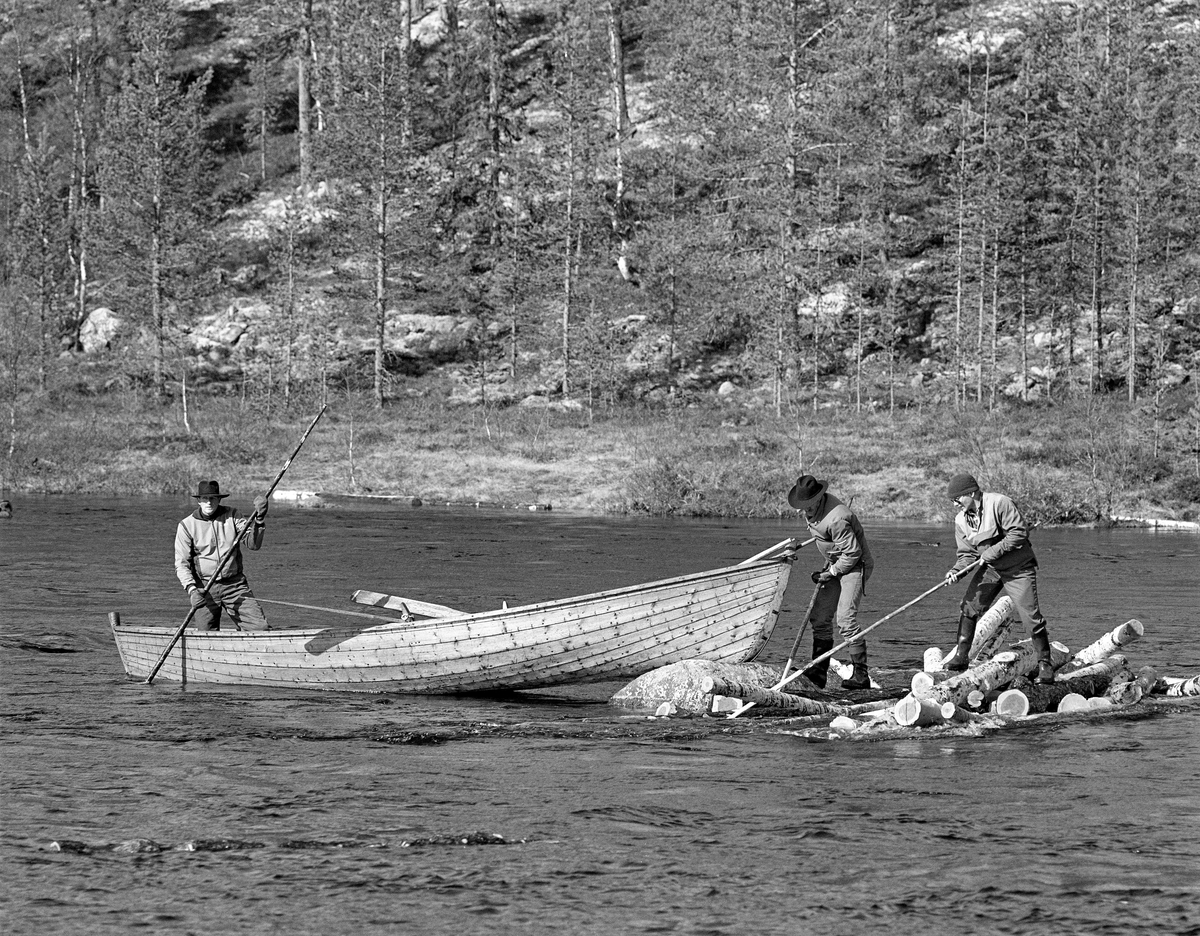 «Båtlag» i aktivitet ved tømmervase ved Myrstadvelta i Femundselva i Engerdal våren 1986.  Tømmerhaugen ser ut til å ha bygd seg opp ovenfor en oppstikkende stein ute i elveløpet.  Stokkene lå hulter til bulter, på rekke, ovenfor det nevnte steinskjæret.  Båtlaget besto av fire mann.  «Framstavnkaren» rodde mens «bakstavnkaren» bisto med manøvreringa i strømmen ved hjelp av ei skåtestang.  De to siste medlemmene av båtlaget var «haugkarer».  Det betydde at de gikk ut av båtene for å «rive» haugene med fløterhaker som arbeidsredskap, for deretter å redde seg opp i båtene igjen når stokkene løsnet.  Da dette bildet ble tatt arbeidet to mann på tømmerhaugen, mens en tredje arbeidskamerat holdt farkosten i en posisjon som skulle gi dem en rettrettmulighet når stokkene var løsnet.  I 1986 ble det fløtet cirka 90 000 kubikkmeter tømmer fra Engerdal og Trysil i Norge over til Sverige og industrien i Karlstad-regionen.  23 menn deltok i dette arbeidet, noe som innebar en betydelig reduksjon etter at fløtinga i sidevassdragene var avviklet.  Tømmeret ble i stedet kjørt med lastebiler til velteplasser, som den dette fotografiet er tatt fra.  Her ble det barket på ambulerende maskiner og - når vannføringa var høvelig - utislått ved hjelp av hjullastere.

Dette fotografiet skal være tatt som ledd i en demonstrasjon for styret i Klaraälvens flottningsförening, som var på befaring langs den øvre delen av vassdraget.