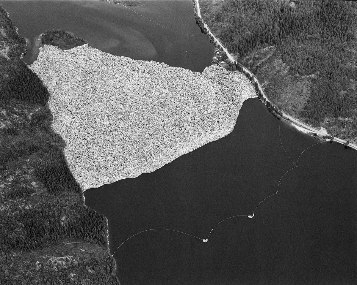 Flyfotografi fra nordenden av Sennsjøen i Trysil.  Bildet er tatt våren 1986 over et landskap med en smal innsjø omgitt av et terreng med skog, i hovedsak glissen bjørke- og furuskog, men også tettere granbestand i partier med djupere jordsmonn og mer fuktighet.   Langsmed østsida av vassdraget (til høyre i bildet) gikk Sennsjøvegen (fylkesveg 581) forbi Sennsjøvik-gardene.  Ute i innsjøene ser vi de to Sandholmene.  Like sør for disse holmene lå det ei lense, der tømmeret som var fløtet ned Femundselva fra Engerdal ble holdt tilbake i påvente av høvelig vannstand i den nedenforliggende delen av Trysilelva.  I den øvre delen av vassdraget var man avhengige av å fløte mens det var flomvannføring, for å slippe at tømmeret satte seg fast på grusører i elveløpet. Lengre nedover var det et poeng at vårflommen skulle være på retur før de store tømmermengdene kom. I det flate lendet langs Trysilelva kunne nemlig flomvannet føre mange av stokkene langt inn på land, og i så fall ble det arbeidsomt for fløterne å bære dem tilbake til vannstrømmen i elveløpet når vannstanden sank. Derfor ble engerdalstømmeret ofte holdte tilbake i Sennsjølensa til begynnelsen av juni. Det året dette fotografiet ble tatt ble det levert om lag 22 000 kubikkmeter fløtingsvirke fra Engerdal. Dermed ble bilvegene i regionen spart for 3 - 4 000 lastebillass. Fløterne var avhengige av nordavind når det åpnet Sennsjølensa, for strømdraget var ikke kraftig nok til å dra tømmeret gjennom sjøen om det blåste fra sør. På vannspeilet ser vi hvordan fløterne hadde sikret tømmerbeholdningen ved å legge ei sikringslense utenfor hovedlensa (i forgrunnen til høyre på bildet) og ei lense som hindret tømmeret i å drive inn i Sennsjøvika (sentralt øverst i bildet).  Da dette bildet ble tatt var det kraftig sønnavær.  Vinden hadde blåst tømmerbeholdningen litt tilbake (nordover) fra stopplensa.