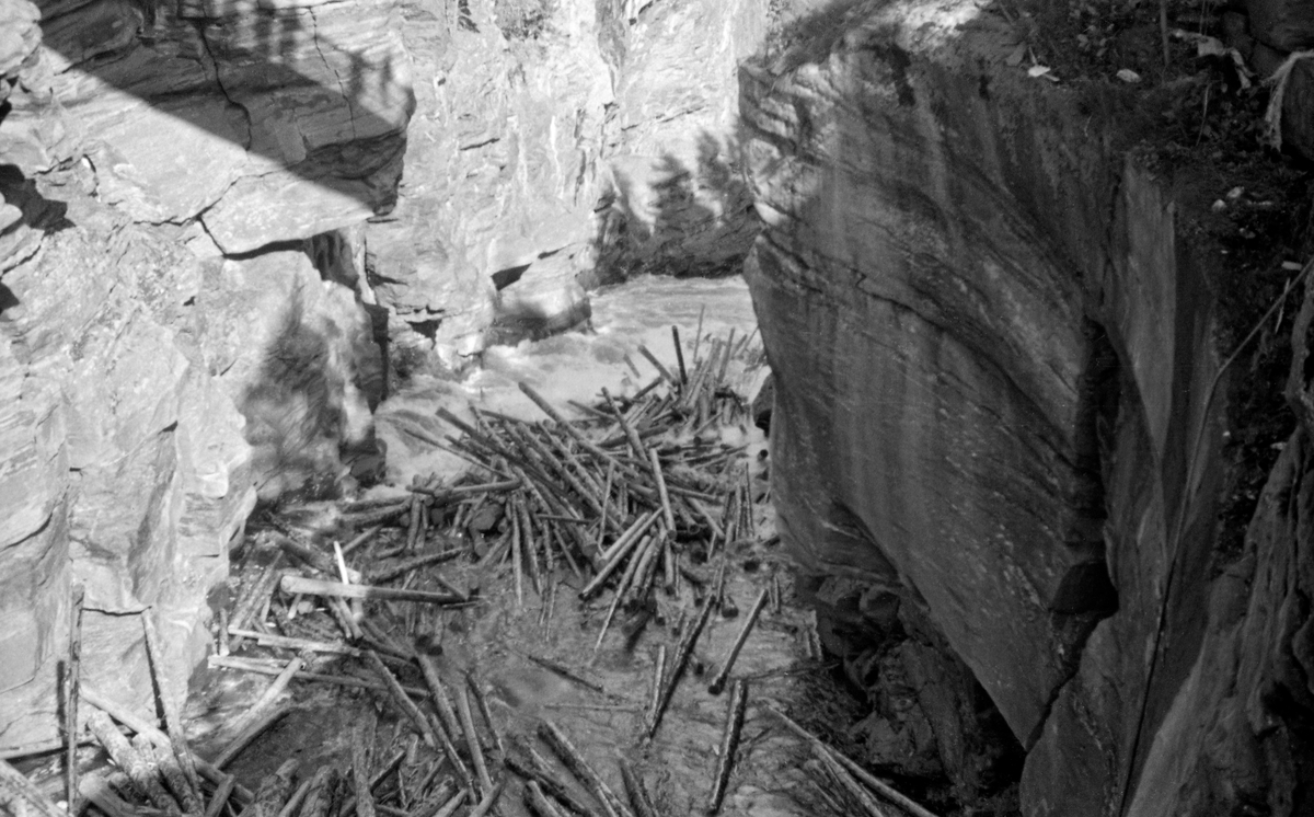 Tømmervase i Harpefossen i Sør-Fron kommune sommeren 1952.  Harpefossen var navnet på en cirka en kilometer lang strekning i Gudbrandsdalslågen, hvor vassdraget hadde et fall på om lag 25 meter over en strekning på om lag en kilometer, i et terreng der eleveløpet gikk gjennom et trangt skar omgitt av bratte bergvegger.  Ved høy vannføring gikk fløtinga likevel ganske greit her, men ved lavvann kunne det lett oppstå situasjoner som den vi ser på dette fotografiet.  Å løsne slike tømmervaser eller hauger var naturligvis farlig arbeid.  Dette fotografiet er tatt fra brua over fossegjelet ned mot elveløpet, der en del tømmer hadde strandet på oppstikkende steinblokker.  Dette virket gjaldt det å få løsnet raskt, slik at det ikke ble liggende som en propp for alt tømmeret som etter hvert kom ovenfra.