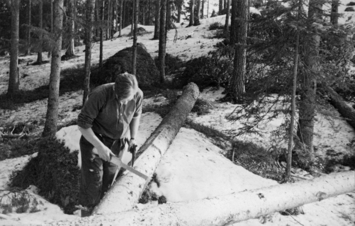 Aptering av tømmer, antakelig i Romedal allmenning, vinteren 1943. En ung mann står ved en kvistet, ubarket trestamme i en glissen barskog med et tynt snølag på bakken. Mannen er kledd i nikkersbukser og busserull, sistnevnte med oppbrettete ermer, antakelig fordi bildet er tatt på en varm vårdag. Den unge skogsarbeideren holder en skyveklave (kubikklave) i den høyre hand, og ei øks i den venstre. Oppå stammen ligger en skant (målestav). Øksa skulle antakelig brukes til å merke det stedet hvor trestammen skulle deles. Om ikke mannen hadde svans lett tilgjengelig, kunne han bruke øksa til å kappe med også.