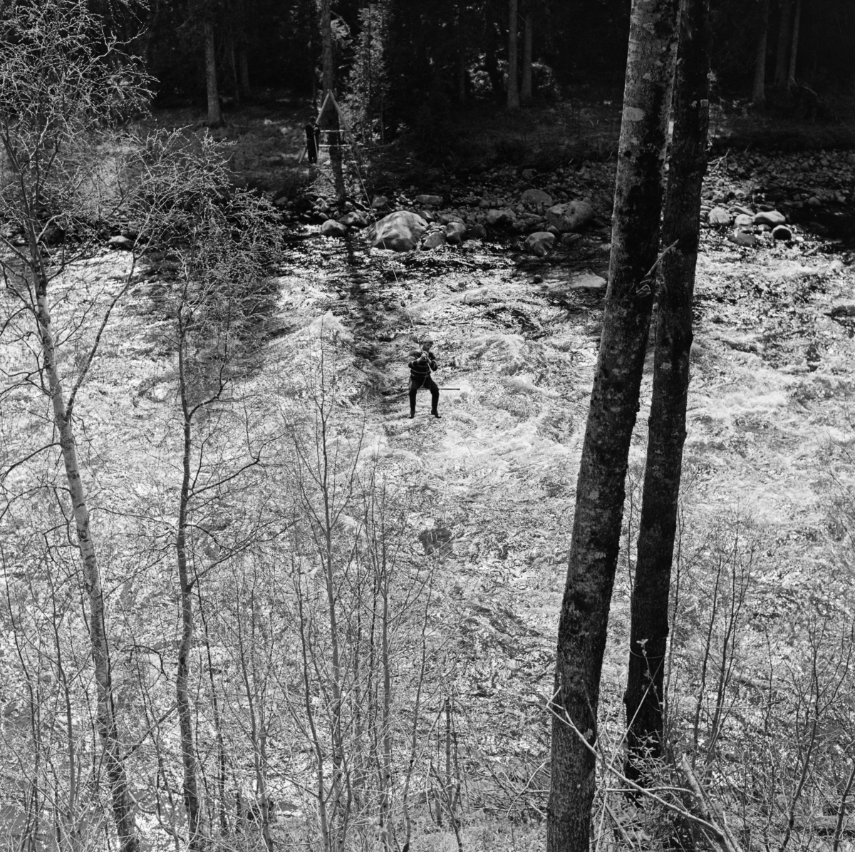 Fra fløtinga i den flomstore elva Åsta i Hedmark i mai 1969.  I forgrunnen ser vi to kraftige furutrær og en del krattskog ved bredden av et vannspeil med kraftige strømhvirvler.  Mellom de to trestammene skimter vi en mannsskikkelse, en tømmerfløter, som var i ferd med å krysse elveløpet på en såkalt fløterstol.  Den besto av ei U-formet jernramme med trinser i ytterendene og et sete av tre i botnen, som var montert på en kabel som var spent opp på tvers av elveløpet.  Her kunne fløterne ved å gripe i bærekabelen dra seg fra den ene elvebredden til den andre, og dermed krysse vassdraget for å løsne tømmer som hadde satt seg fast på motsatt side, uavhengig av bruforbindelser.  Dette var en oppfinnelse børsemakeren og landhandleren Eberhard Pedersen Kokkin (1856-1920) var opphavsmannen til.  Han bodde på Smedbakken ved Søndre Åset, ikke langt fra Åstas utløp i Glomma.  Åsta har sine kilder i de østlige fjelltraktene i Øyer (i Oppland fylke). Derfra renner elva sørøstover gjennom de nordre Hedmarksallmenningene før den skjærer østover og renner ut i Glomma i Åmot i Østerdalen. Vi vet ikke eksakt hvor dette fotografiet er tatt, men det er åpenbart fra den nedre delen av vassdraget, altså på Vangs eller Åmots grunn.    

Åsta var fløtbar i om lag tre mils lengde, men fløtinga på den øverste delen av denne strekningen var usikker.  Dessuten var det slik at allmenningene i Ringsaker, Furnes og Vang tok mye av tømmeret til egne sagbruk.  Derfor var den nedre delen av dette vassdraget - fra Djuposet og nedover - at fløtingsaktiviteten var størst.  I 1969 ble det fløtet snaut 4 000 kubikkmeter tømmer i Åsta.  I prioden 1950-1959 var gjennomsnittlig årlig fløtingskvantum i denne elva 4827 kubikkmeter, så fløtingskvantumet i 1969 var ikke illevarslende lavt.  Dette var likevel nest siste sesong med fløting i dette sidevassdraget.