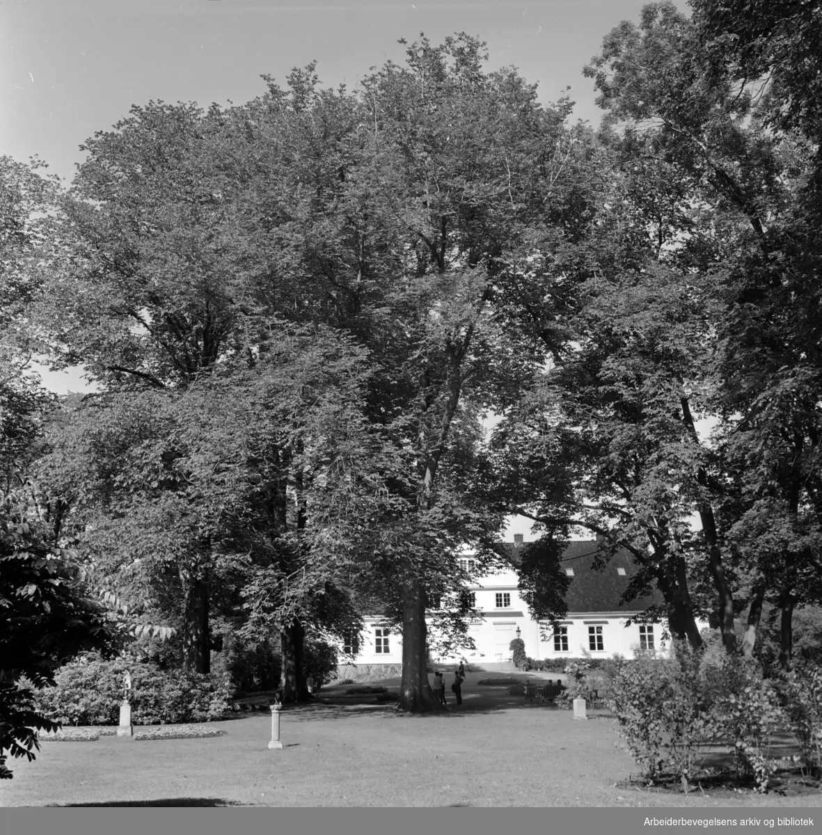 Bygdøy Kongsgård. Parken åpen for publikum. Juli 1964