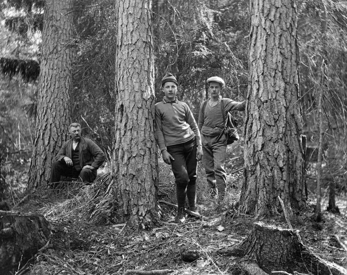Tre menn ved tre grove furustammer i Mork skog i Lisleherad i Telemark. Fotografiet skal være tatt i 1928.  Mellom de to nærmeste trærne sto det to unge menn, den ene med et busserullaktig plagg på overkroppen og ei slags topplue på hodet, den andre med V-genser og skjorte, sixpencelue og ryggsekk.  Ved trestammen lengst til venstre – noe mer tilbaketrukket – satt en middelaldrende mann på huk.  Alle de tre trærne hadde skorpebark, og sammenlikner en med livvidden på de tre personene, er det nærliggende å anslå at de må ha hatt en diameter på 60-70 centimeter.  

De avbildete personene er Steinar Mork (1875-1964) med sønnene Hølje (1915-1997) og John (1913-1993).