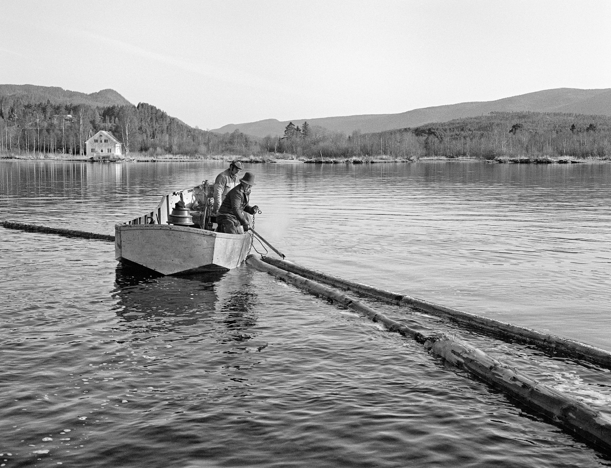 Kopling av lensestokker til reservoarlense eller ringbom ved nordenden av Storsjøen i Rendalen i 1984.  Lensestokkene ble kjedet sammen, ende mot ende, ved hjelp av lensekjettinger som ble trukket gjennom hull («øyer») i stokkendene.  På denne måten lagde fløterne et flytende stengsel for løstømmer. Arbeidet ble utført fra en varpebåt – et åpent stålfartøy med innvendig dieselmotor og vinsj.  Denne båten ble brukt ved lensearbeid og sleping av ringbommer i nordenden av Storsjøen, samt ved «landrensk» langs strendene.  De 36 kilometer lange slepene fra Åsheim i nord til Løsset i sør ble utført med den kraftigere slepebåten «M/S Storsjø».  Fløterne i varpebåten på dette bildet var Ove Øien og Per Sindre Nyberget.