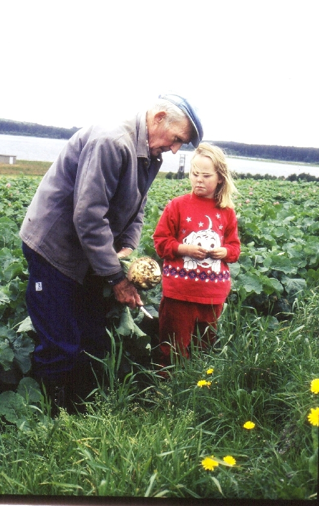 Rakel Serina Serigstad (19.6.1991 - ) får kålrabi å gnaga på av Einvald Serigstad (21.3.1921 - 9.10.2008). Me ser Frøylandsvatnet med Tu og Laland i bakgrunnen.