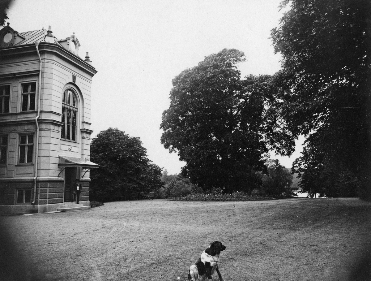 Stjernvik herrsäte i Östergötland. Sommar 1893.
