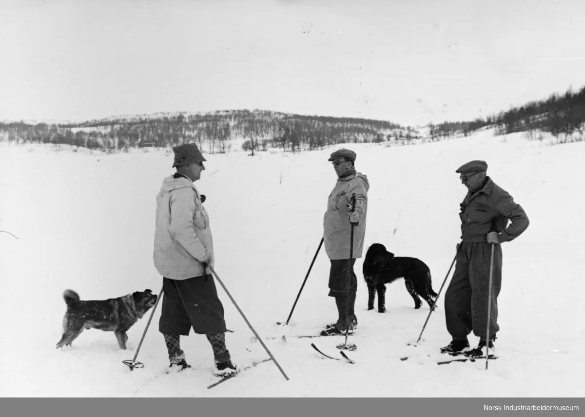Skiløpere med hunder på tur.