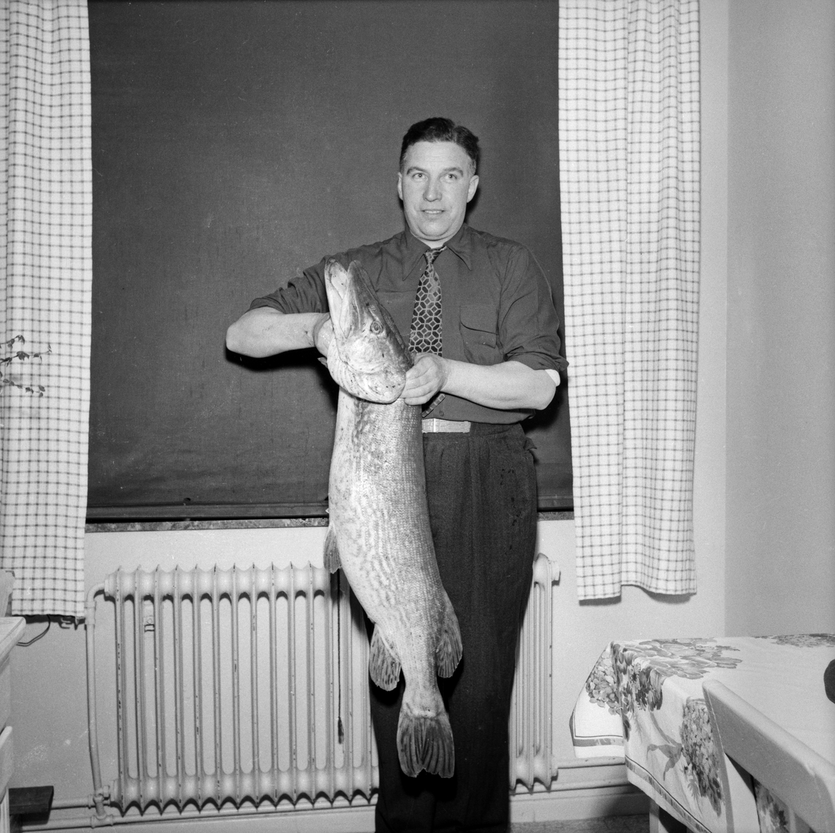 Under torsdagen den 26 mars 1953 bärgades denna präktiga gädda på 16,2 kilo. Svinstadsjön var fiskevattnet som fick bestå den fina fångsten som verkmästare Gunnar Nilsson säger sig hade det ganska besvärligt att få i land.