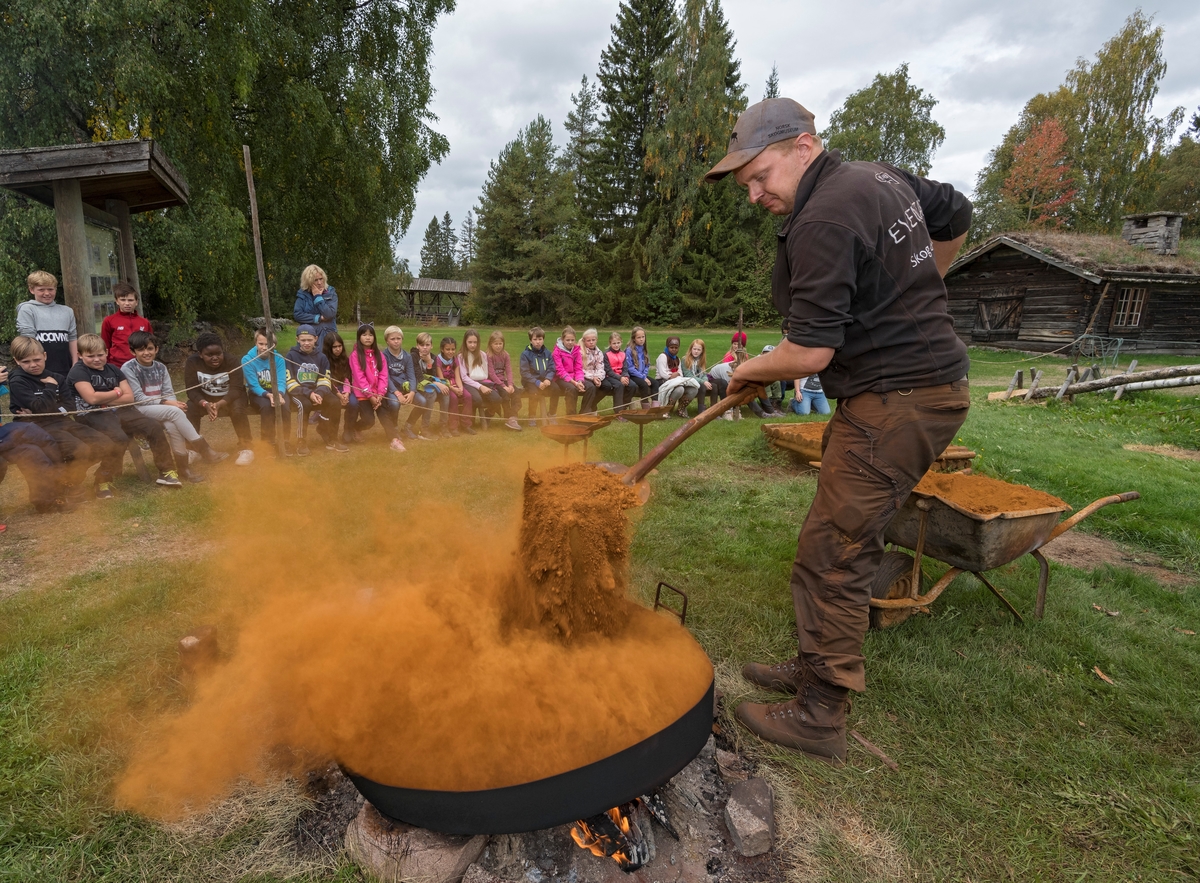 Fra temadagsopplegget «Fra malm i myra til stål i smia» på Norsk skogmuseum i Elverum, høsten 2018.  Dette formidlingsopplegget samlet 720 skoleelever, de fleste fra mellomtrinnet, i løpet av en periode på fire dager.  Fotografiet viser museumsformidler Bjørn Skoglund, som røster soltøket malm, slik det for lettvinthets skyld gjøres på museet, nemlig på ei diger jernpanne over et bål.  Røstinga var en varmebehandlingsprosess, som ble utført på en flat mo i nærheten av den myra der malmen ble funnet.  I denne prosessen ble organisk materiale og annet som i denne sammenhengen var forurensninger fjernet, samtidig som malmen, som opprinnelig var et jernhydrat (FeOOH) gikk over til å bli et jernoksid, Fe2O3.  Evenstad foreskrev at dette skulle gjøres på ei rist av tømmer, som vi her skimter i modellformat bak Skoglund.  Man la først opp to 6-7 meter lange og 12-13 tommer grove underlagsstokker på bakken.  Oppå disse la man ei tett flo med jevngrove tømmerstokker, og, vinkelrett på denne, ei ny flo.  På dette om lag 40 kvadratmeter store underlaget la karene som arbeidet med blestinga 10-12 sledelass med malm, riktignok med et krater i midten, slik at det kom luft til der.  Under tømmeret, mellom de to underlagsstokkene ble det plassert kløvd småved, tørrkvist og annet brennbart materiale, som etter hvert ble antent.  Etter at veden og kvisten var oppbrent, gav blestringsmannskapet de overliggende floene med tømmer et par kakk med øksenakken, slik at nyrøstet mal drysset ned ned på den underliggende askelaget.  Derfra kunne den rødbrune, røstete massen hentes ved hjelp av en langskaftet spade, klar for kjøring til blesterovnslokaliteten.  På museet ble malmen ganske enkelt kjørt med trillebår fra den avbildete panna til blesterovnen, som lå 15-20 meter fra det stedet der dette fotografiet ble tatt.  Ei gruppe skoleelever fulgte interessert med fra benker i bakgrunnen.

Jernblestringsmetoden som praktiseres i forbindelse med dette temadagsopplegget har sine forbilder i storelvdølen Ole Olsen Evenstads (1739-1806) lille «Afhandling om Jern-Malm, som findes i Myrer og Moradser i Norge, og Omgangsmaaden med at forvandle den til Jern og Staal», et manuskript som ble premiert av Det Kongelige Landhusholdnings-Selskab i 1782 og publisert av samme selskap i 1790.  Det Evenstad beskrev var en tradisjonell metode for småskalaproduksjon av jern, som lenge hadde vært praktisert i bygder med myrarealer der det var utfelt okerfarget jern og med overflod av trevirke, som kunne brukes som brensel i denne prosessen.  Dette skjedde 160-170 år etter at en eksportorientert storskalaproduksjon av jern fra bergmalm i digre masovner var introdusert i Norge.  Evenstad var en av flere patrioter som var opptatt av å fremme velstand, så vel for nasjonen som for bondebefolkningen.  I introduksjonen til publikasjonen skrev han blant annet: «Hvad Fordeel skulde ikke blot denne Metal [myrjernet] bringe Landet, naar Landmanden [bonden] forarbeidede selv den raae Materie til brugbart Jern for sig og sine Lige …?»