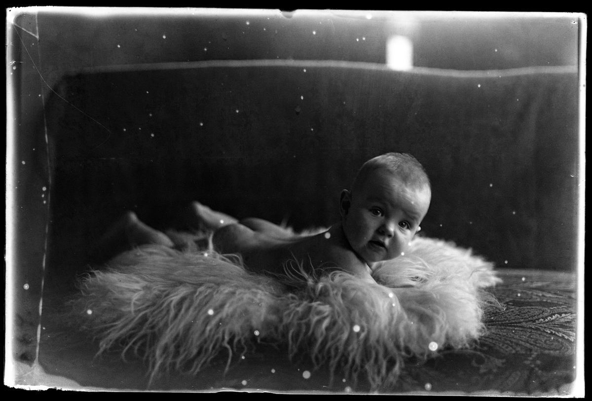 Ett litet barn ligger på en fäll. I fotografens egna anteckningar står det "Fam. Roos pojke". Tolkat som Paul Frank Gustaf Roos.