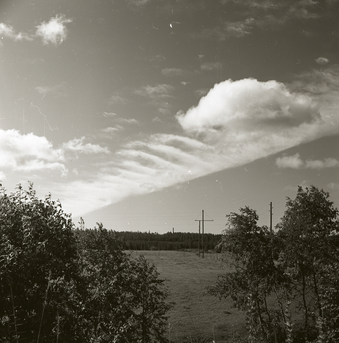 Skog och åkermark under ett fjäderformat moln i Trönö den 5 augusti 1964.