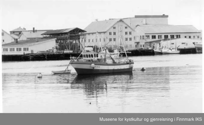 Fiskebåten "Arnt Egil" fortøyd utfor Fjærtoftkaia, 1989