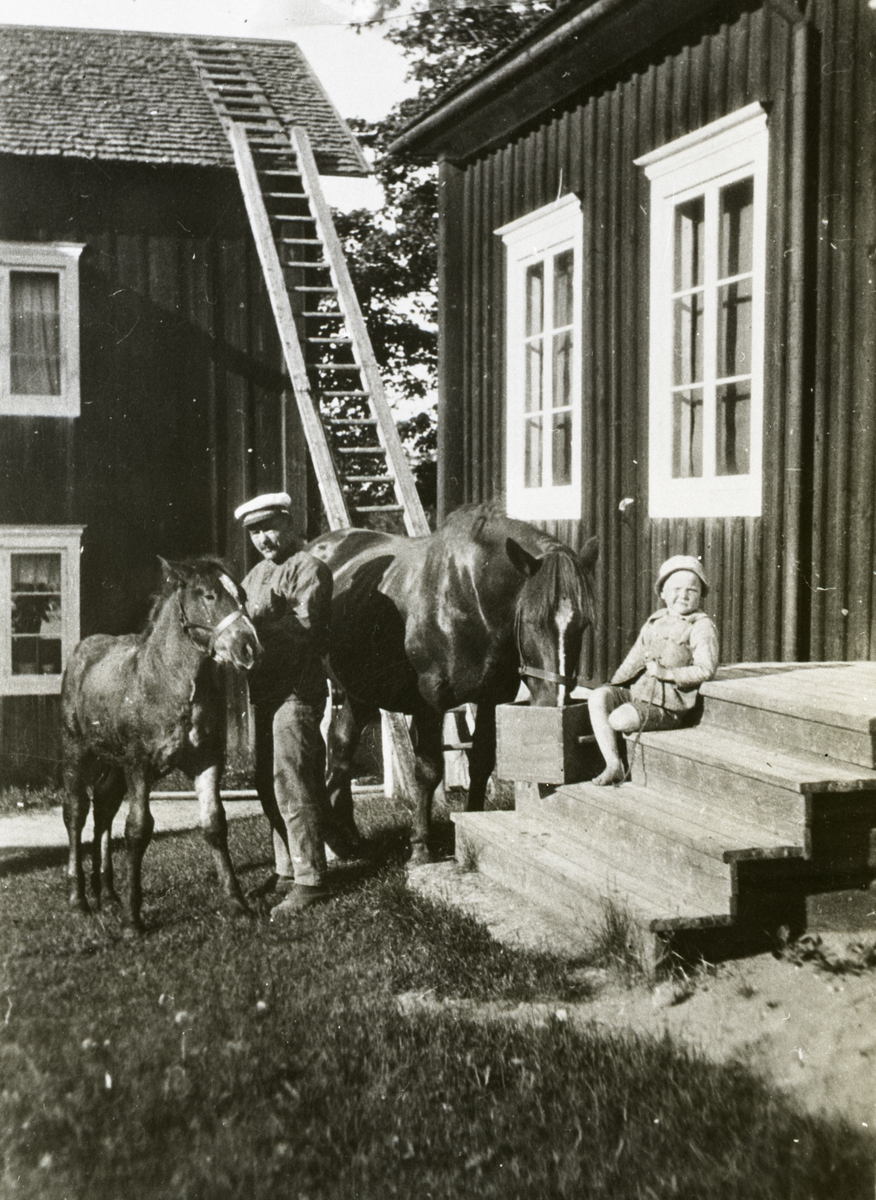 En man och ett barn står med en häst och ett föl på en gårdsplan. Pojken sitter på trappen och håller i hästen medan mannen håller i fölet.