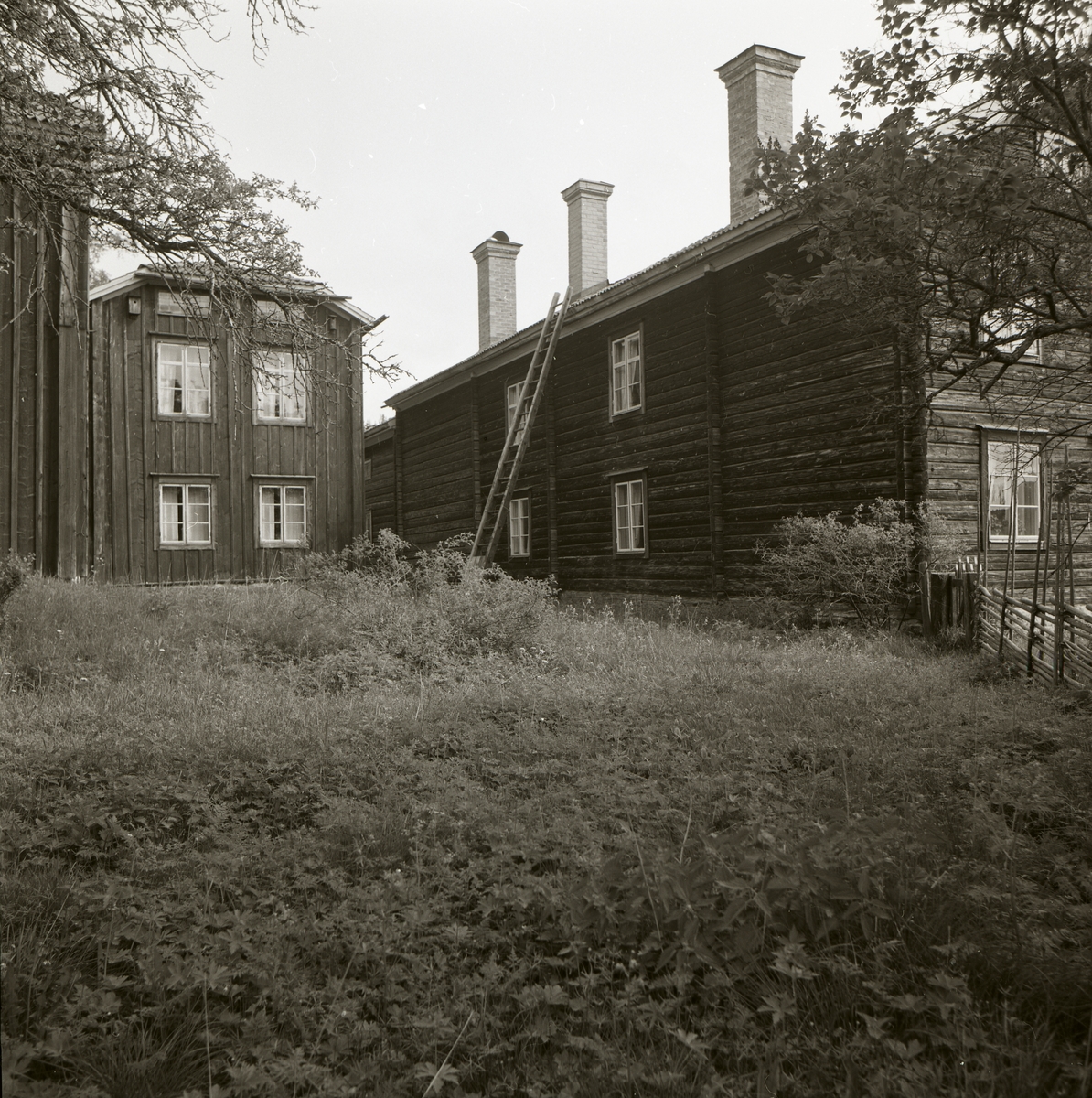 Byggnader vid hembygdsgården i Rengsjö. Mot den ena byggnaden står en stege uppställd,  7 juni 1983.