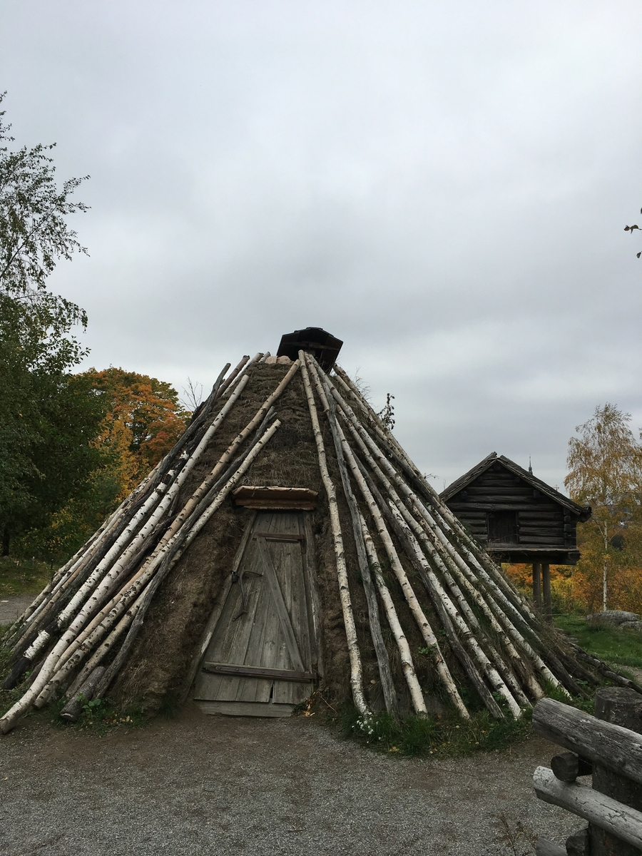 Saemien sijte på Skansen gestaltar en nutida sydsamisk miljö. Sitan består av fyra byggnader; torvkåtan, stolpboden, timmerkåtan samt njallan. Byggnaderna har uppförts på eller flyttats till Skansen under 1900-talet samt 2000-talets första årtionde. De två kåtorna samt stolpboden stammar från Jämtland, njallan från Norrbotten.