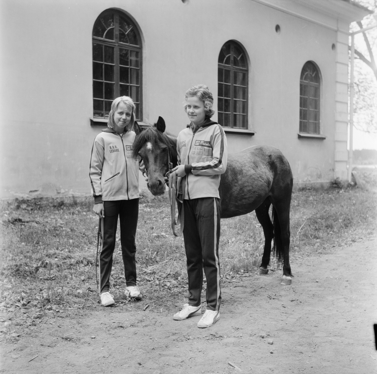 Ungdomar med en häst, Uppland 1971