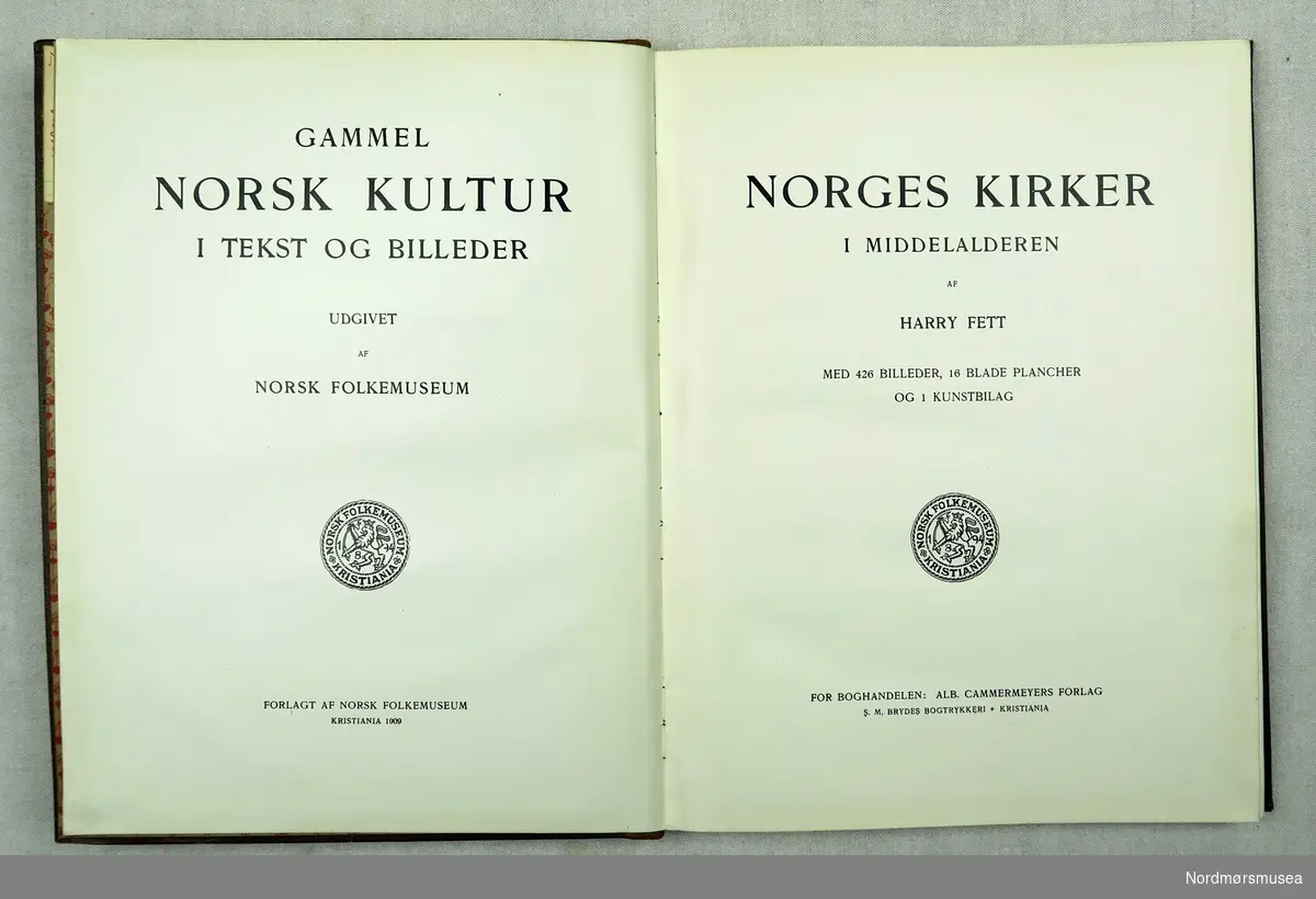 Stor, illustrert bok om norske midelalderkirker.
Ca.170 sider i A3-format, skinnrygg, stive permar.