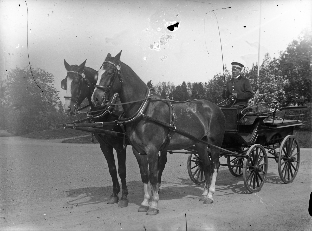 Magnusson, kusk på Österbodarne, sitter i en vagn dragen av två hästar.