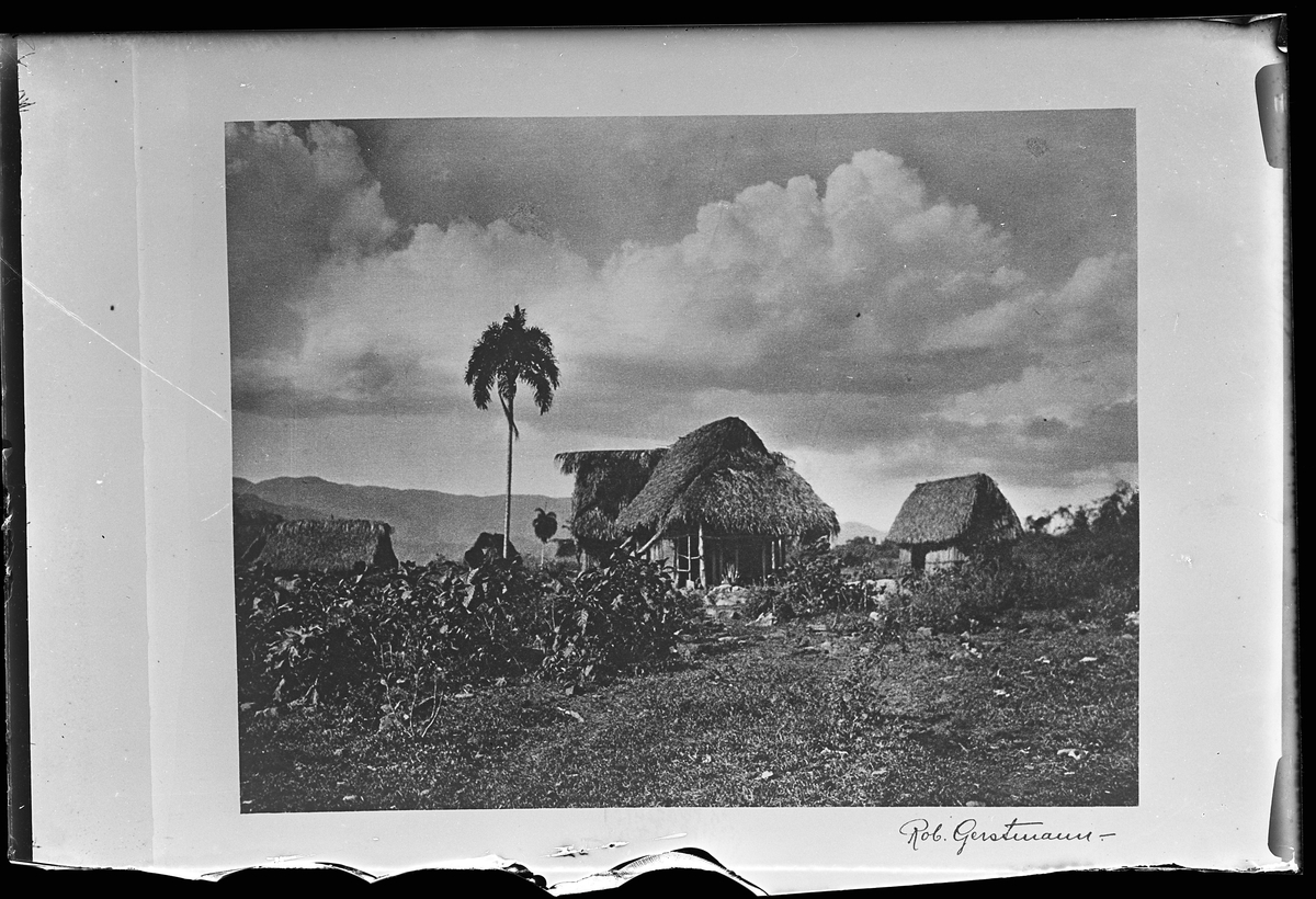 Tre byggnader med vasstak. I bakgrunden syns berg. Bilden är signerad Rob. Gerstmann och reprofotograferad av Harald Olsson. I Olssons anteckningar står det "27 rep. för Folke Olsson".