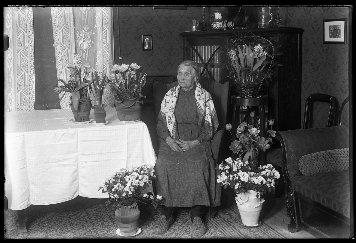 En kvinna i tofflor sitter i ett finrum omgiven av blommor. Bilden är tagen i samband med hennes födelsedag. I fotografens egna anteckningar står det "Fru Håkansson 80år", tolkat som Anna Kristina Håkansson.