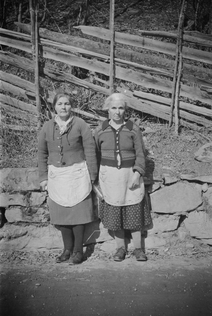 Portrett av to kvinner, Severine og Marthe Pedersen (Heggelund)
