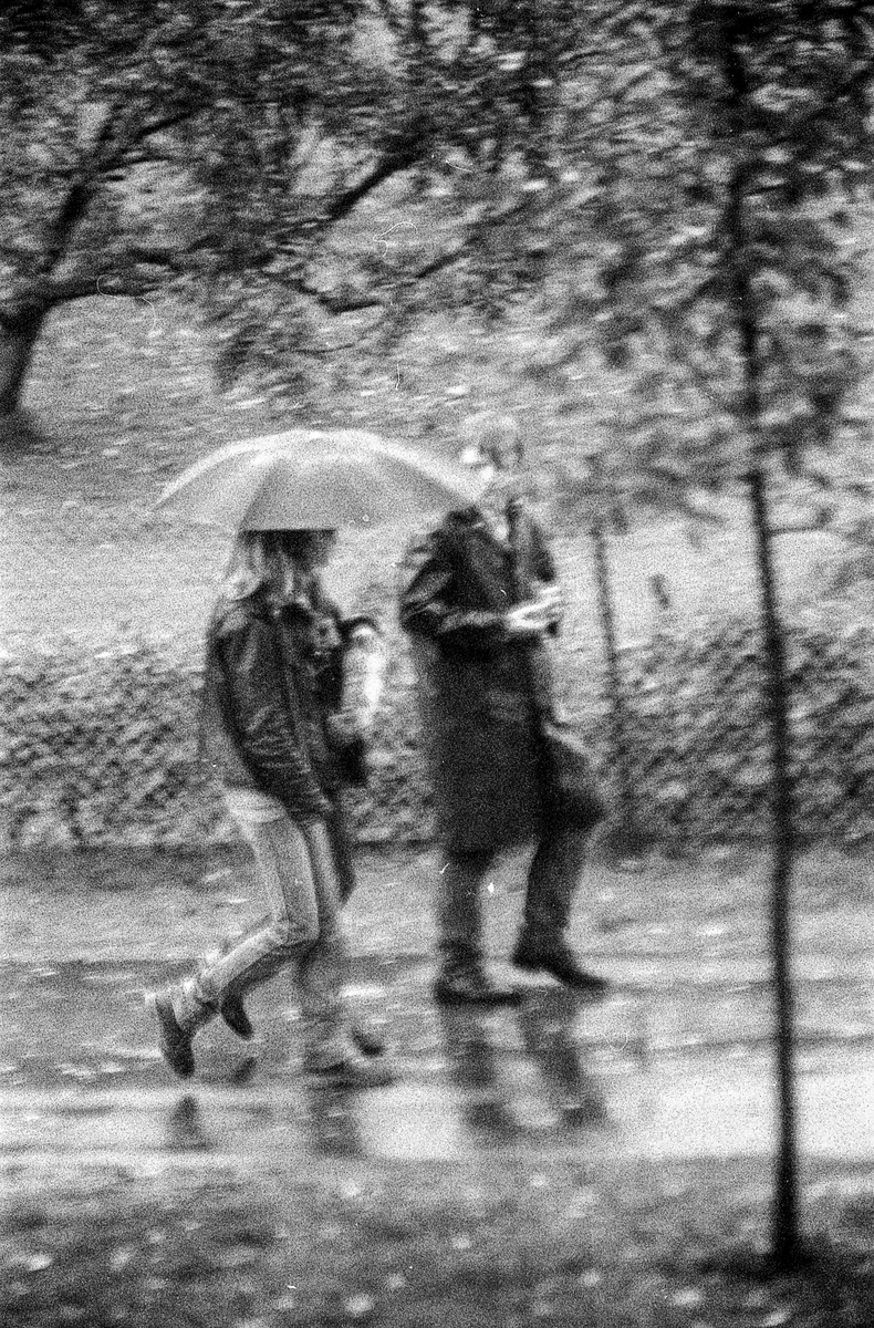 Høstregn, tåke med paraplyer, vannpytter, vissent løv på frontruta.